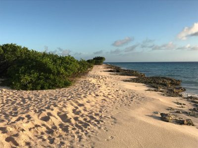 WhatsApp Image 2025-09-13 at 09.54.34 (23)