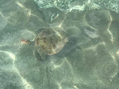 WhatsApp Image 2025-09-13 at 09.54.34 (8)