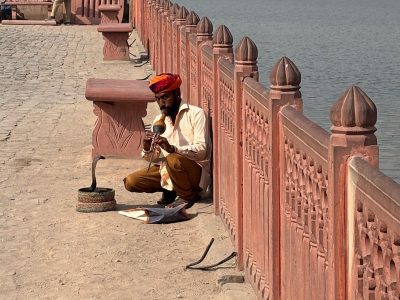 rajasthan-de-perfecte-eerste-kennismaking-met-india-tijdens-een-kleurrijke-studiereis-5