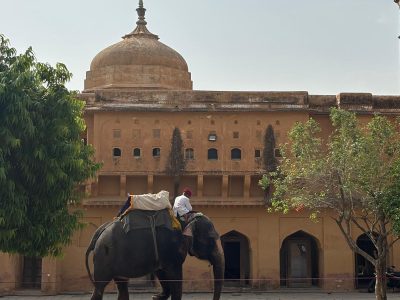 rajasthan-de-perfecte-eerste-kennismaking-met-india-tijdens-een-kleurrijke-studiereis-6
